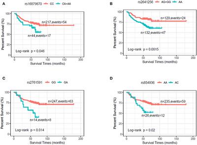 Genetic Variants Were Associated With the Prognosis of Head and Neck Squamous Carcinoma